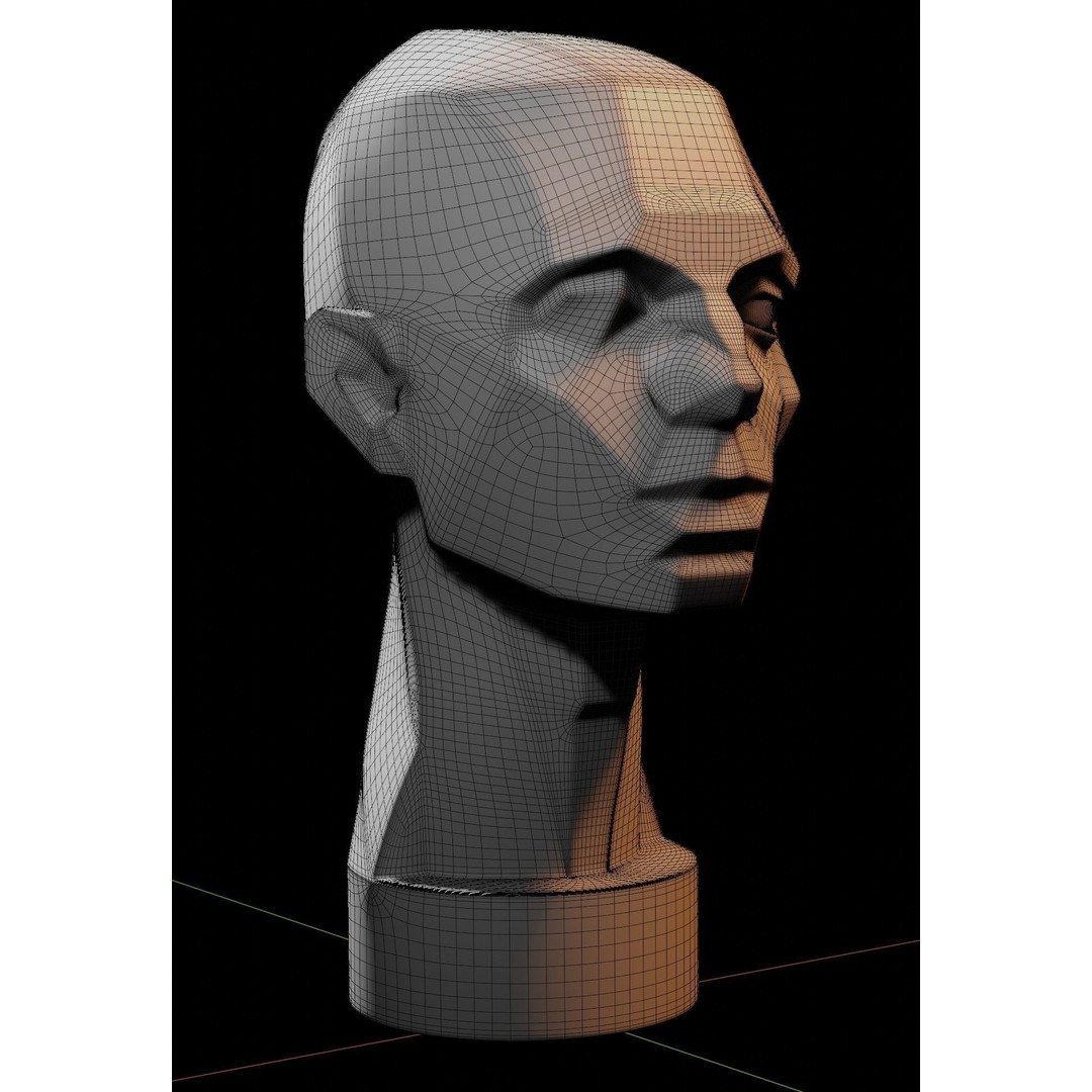 Asaro Heads Pack 3D Model – Anatomical Planes for Art Practice, Blender - View 7