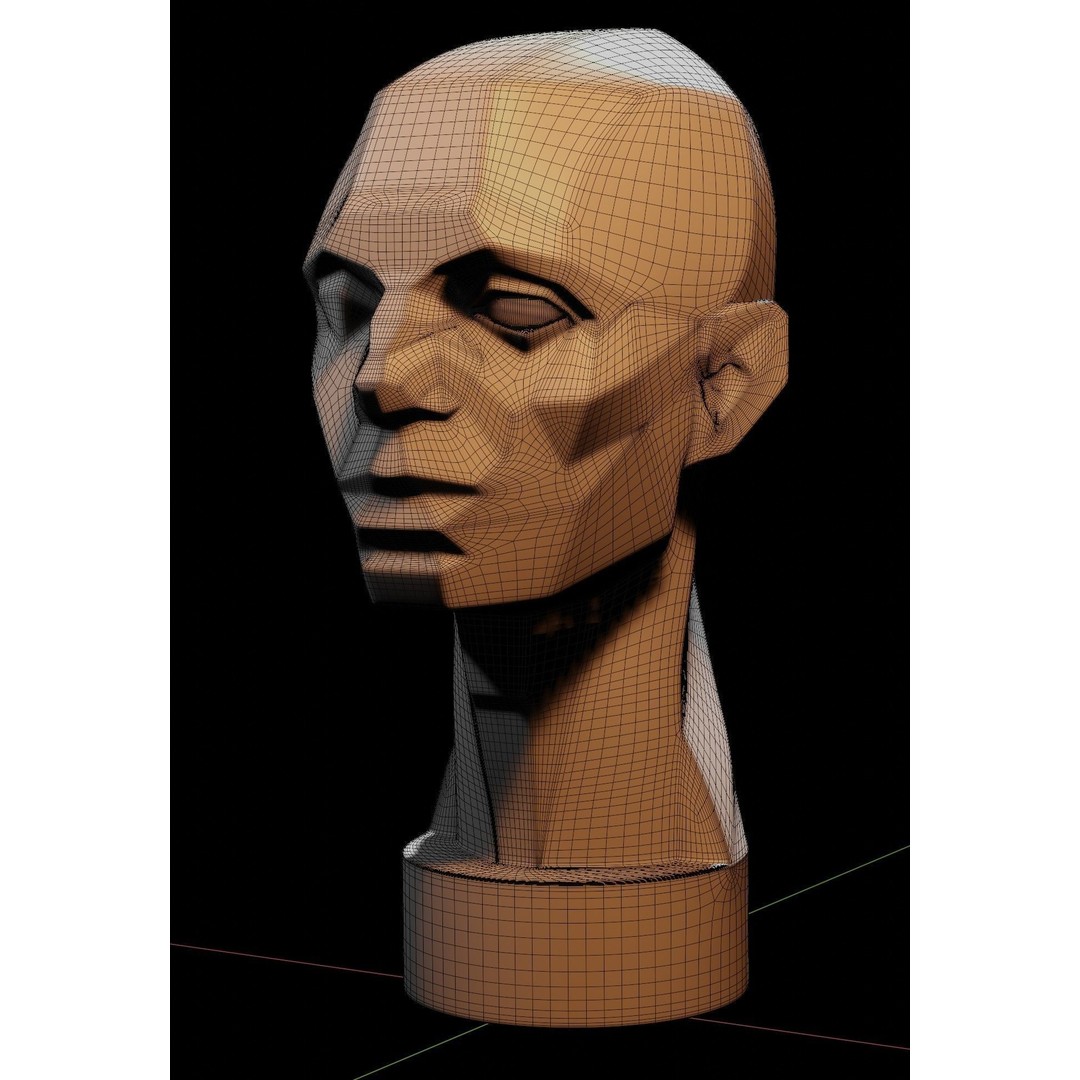 Asaro Heads Pack 3D Model – Anatomical Planes for Art Practice, Blender - View 8