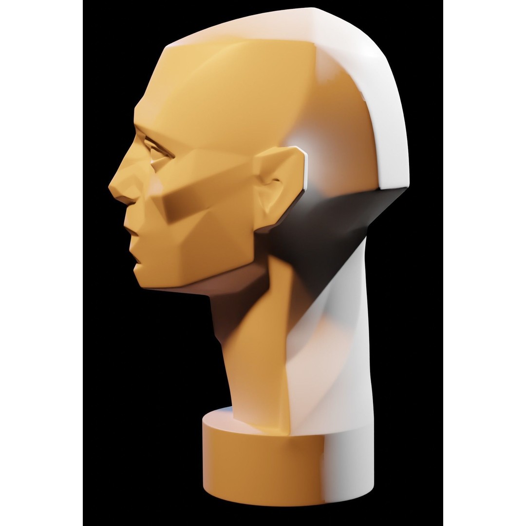 Asaro Heads Pack 3D Model – Anatomical Planes for Art Practice, Blender - View 9