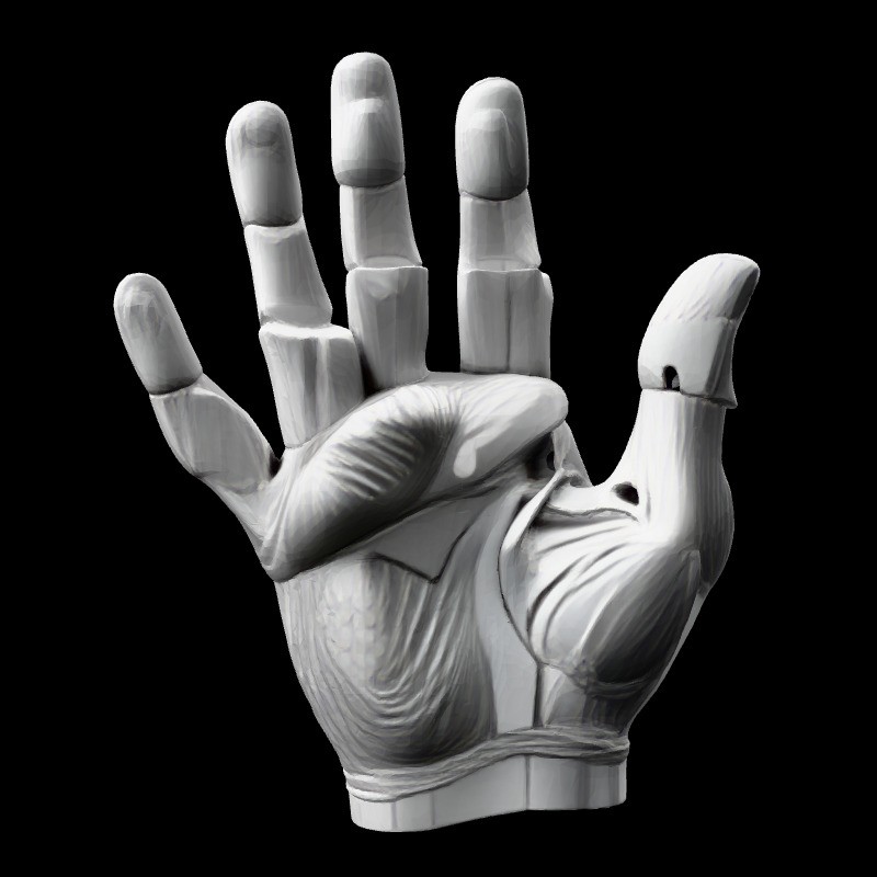 Stylized Robotic Hand 3D Model – Low Poly Game Asset, FBX, PBR - View 8