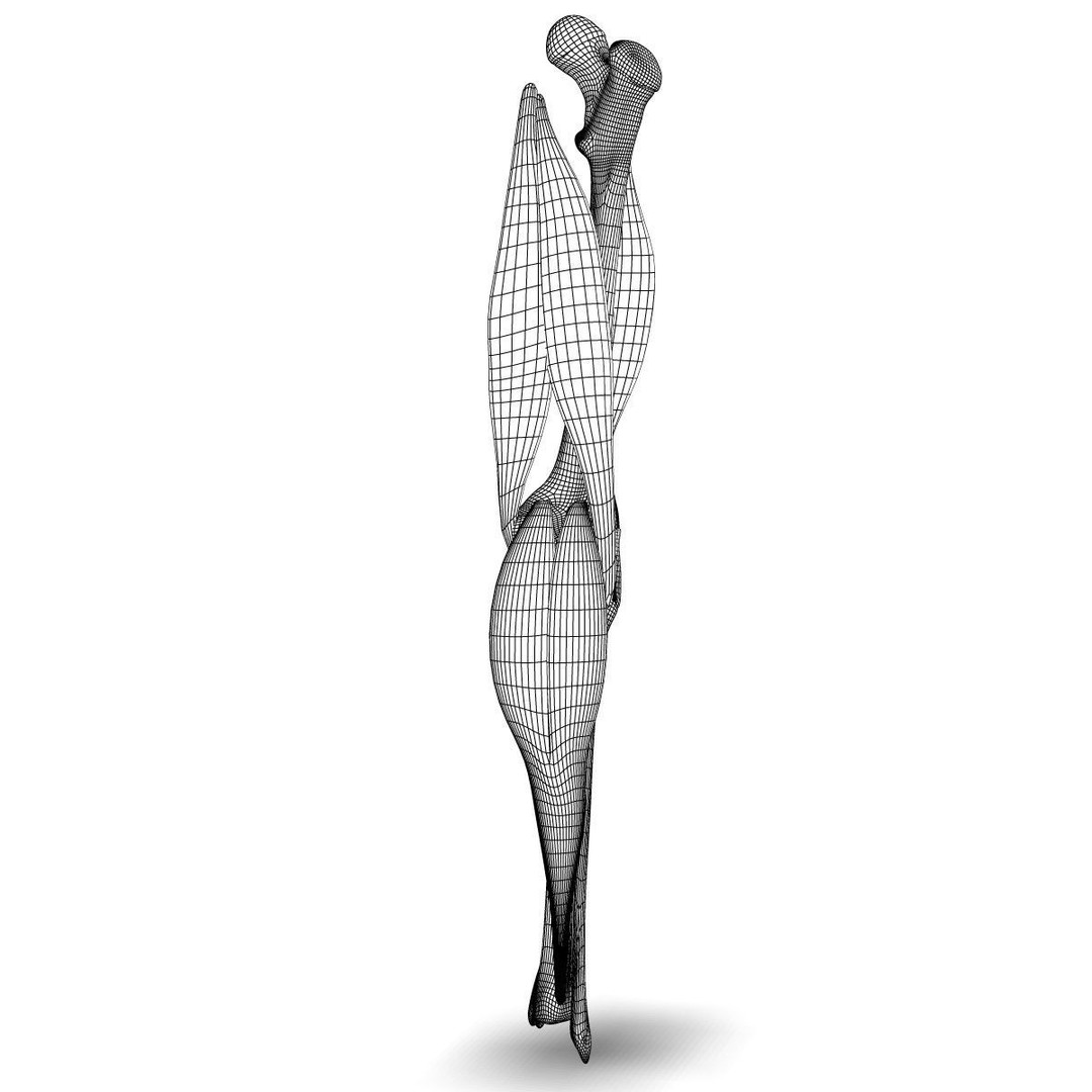 Human Knee Joint Anatomy 3D Model – PBR Rigged Character Asset, FBX - View 6