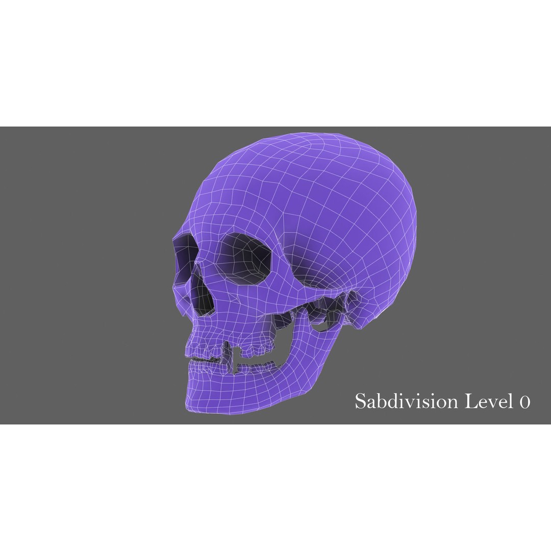 Real Human Skull 3D Model – Low Poly Game Asset, FBX, OBJ - View 39