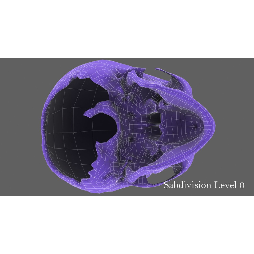 Real Human Skull 3D Model – Low Poly Game Asset, FBX, OBJ - View 41