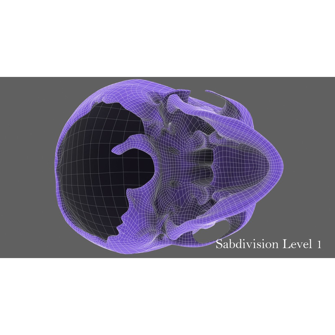 Real Human Skull 3D Model – Low Poly Game Asset, FBX, OBJ - View 42
