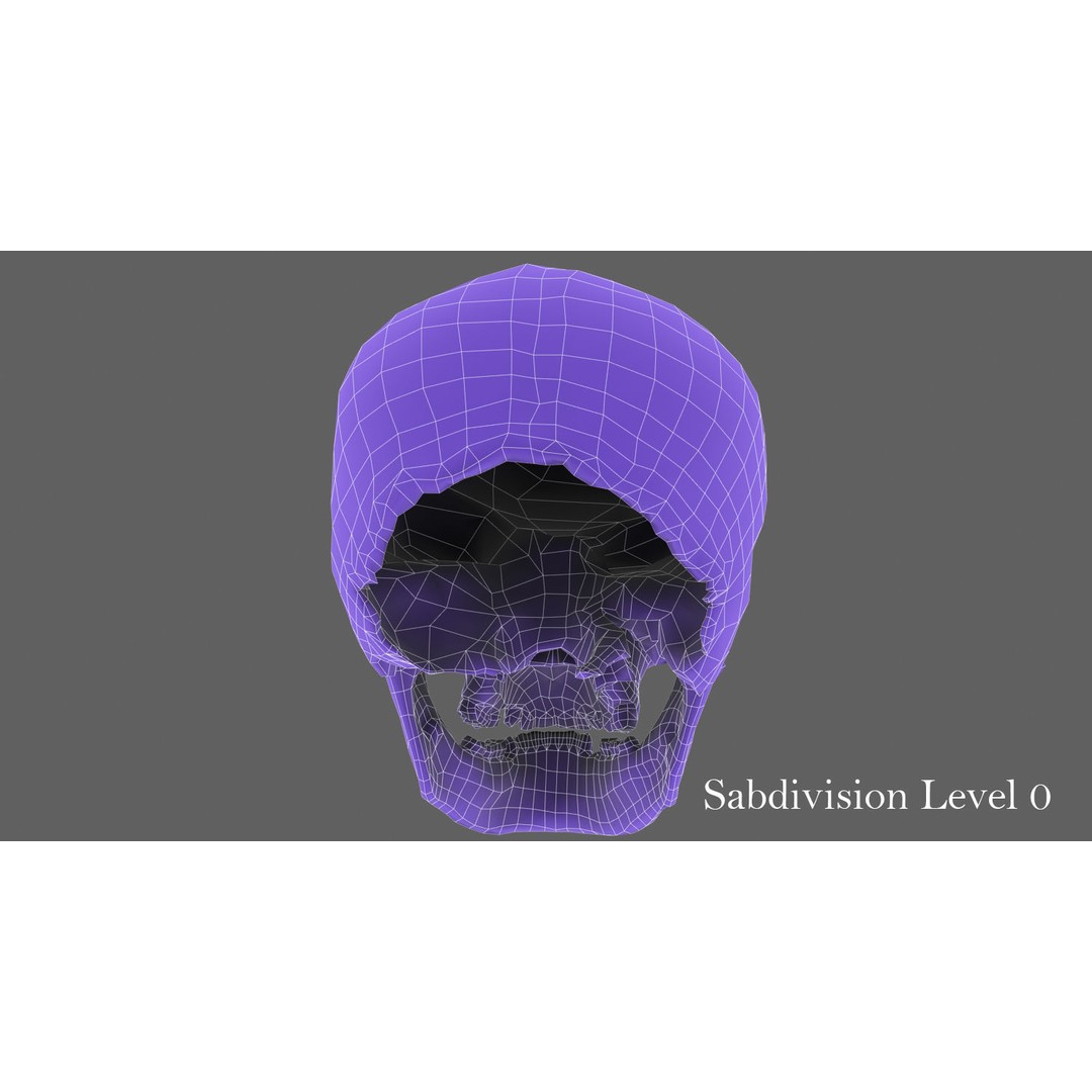 Real Human Skull 3D Model – Low Poly Game Asset, FBX, OBJ - View 43