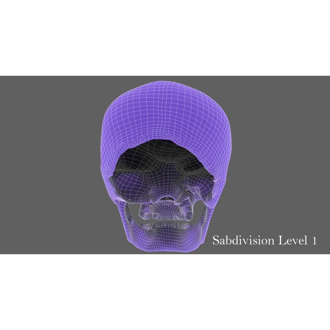 Real Human Skull 3D Model – Low Poly Game Asset, FBX, OBJ - View 44