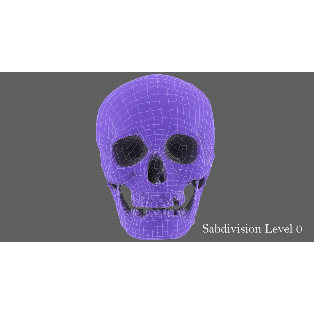 Real Human Skull 3D Model – Low Poly Game Asset, FBX, OBJ - View 45