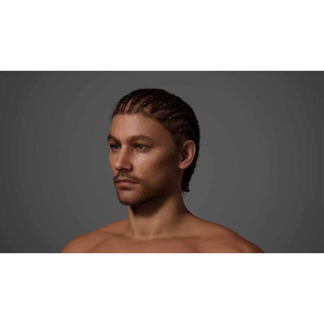 Cornrow Braids Groom 3D Model – Realistic Hair for MetaHuman & Unreal Engine - View 18