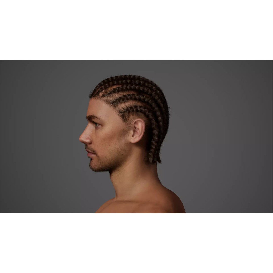 Cornrow Braids Groom 3D Model – Realistic Hair for MetaHuman & Unreal Engine - View 19