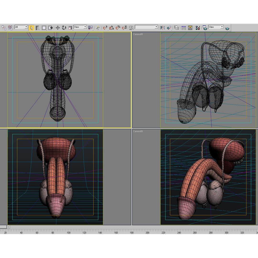Male Reproductive System 3D Model – PBR Game-Ready Anatomy Asset, FBX