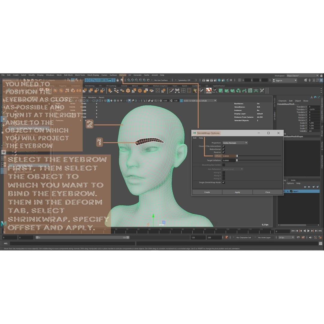 Eyebrow Pack 3D Model – Low Poly Hair Grooming Asset, FBX & Blender - View 20