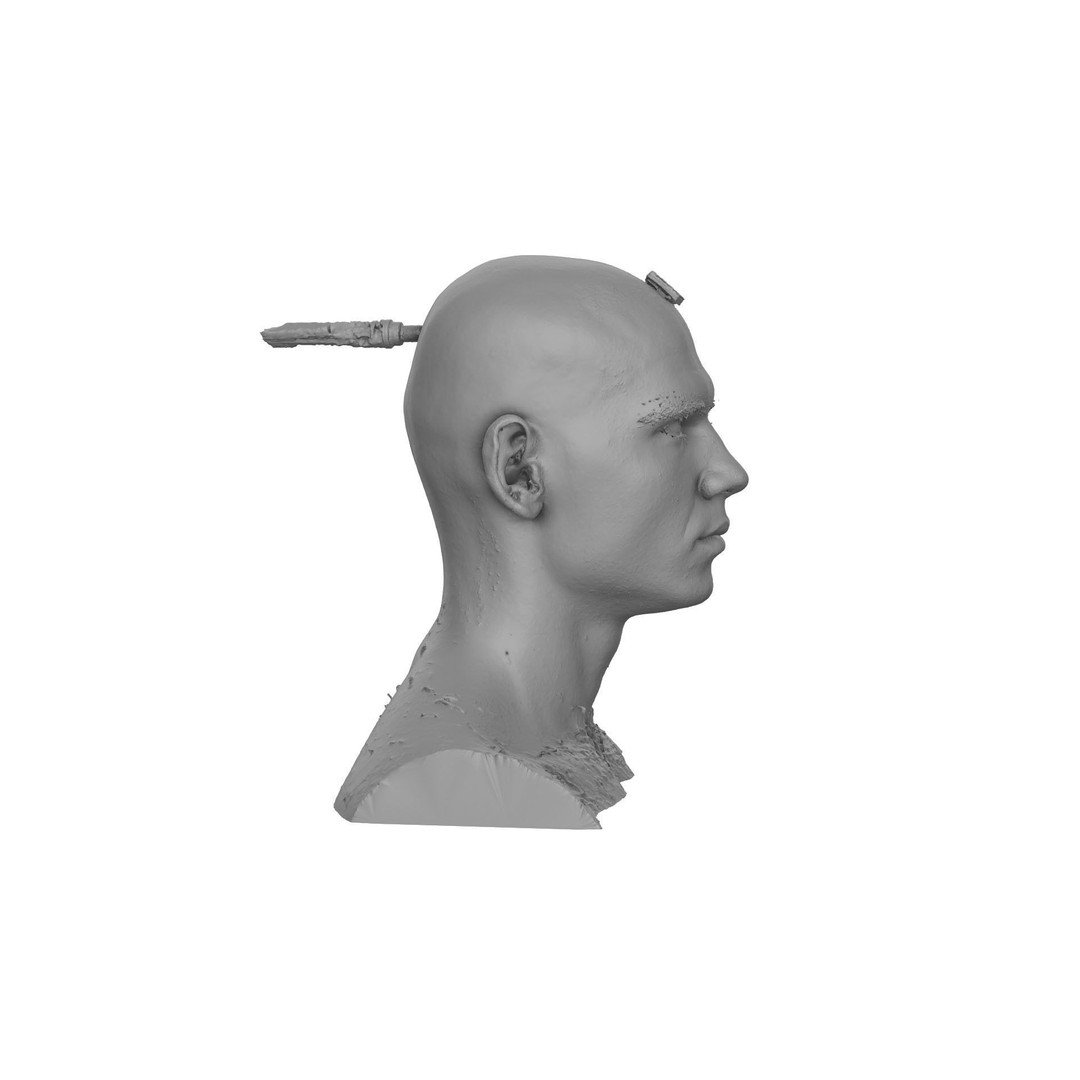 Raw Head Scan Efrain Fields 3D Model – Realistic Male Portrait, OBJ - View 8