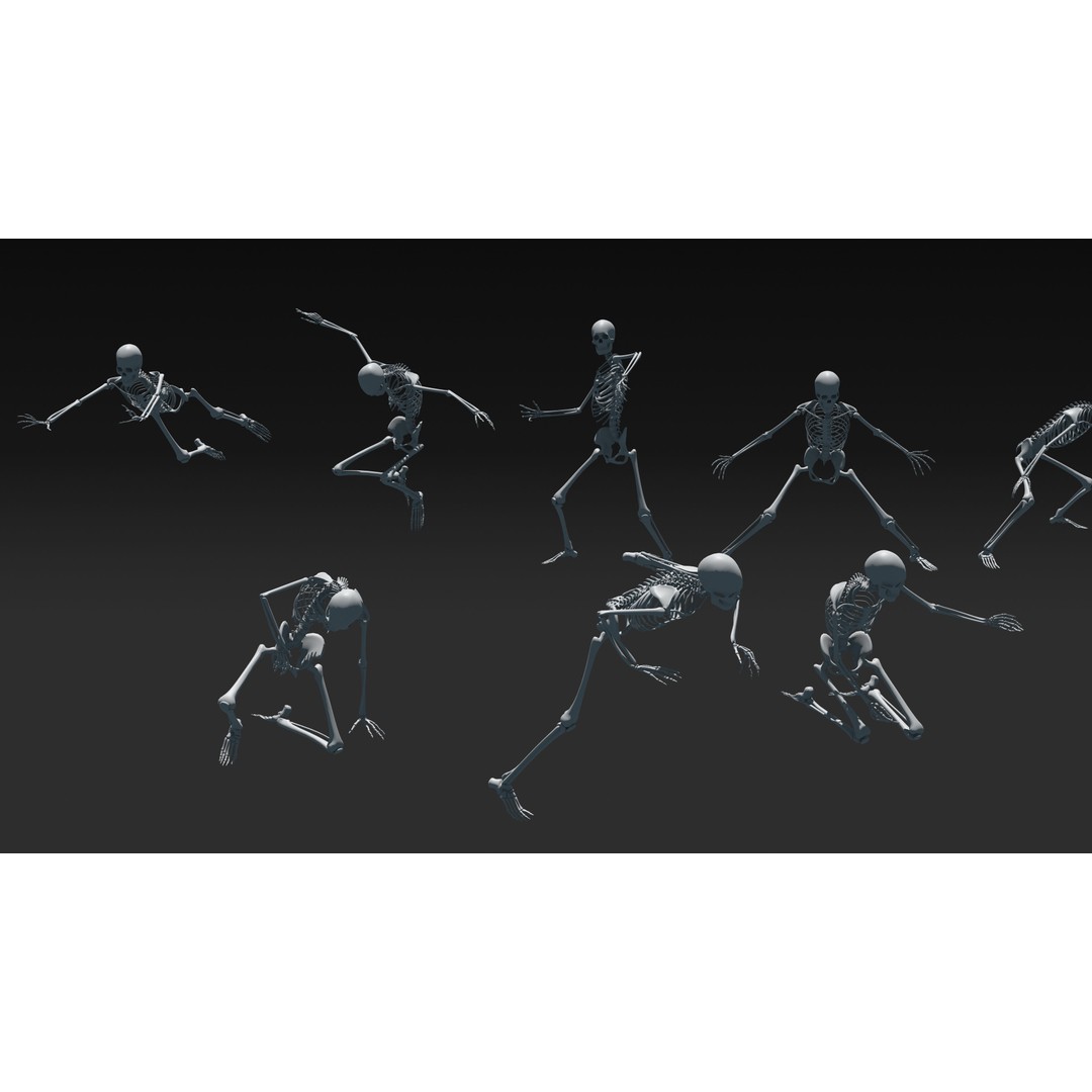 Skeleton 3D Model – Anatomy Pack with 38 Poses, OBJ Format