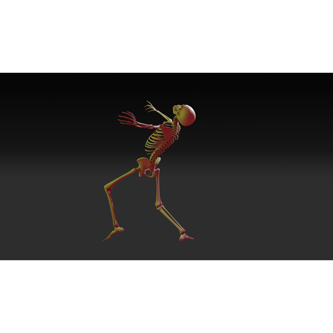 Skeleton 3D Model – Anatomy Pack with 38 Poses, OBJ Format - View 10