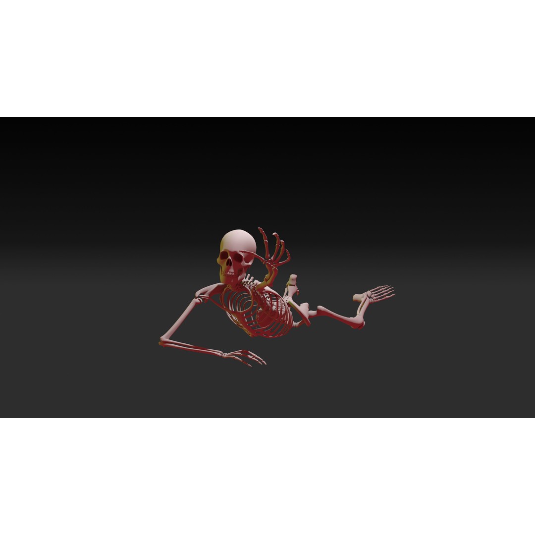 Skeleton 3D Model – Anatomy Pack with 38 Poses, OBJ Format - View 12