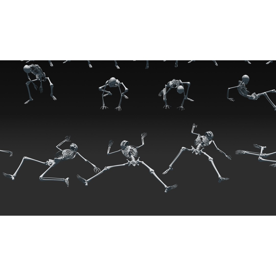 Skeleton 3D Model – Anatomy Pack with 38 Poses, OBJ Format - View 19