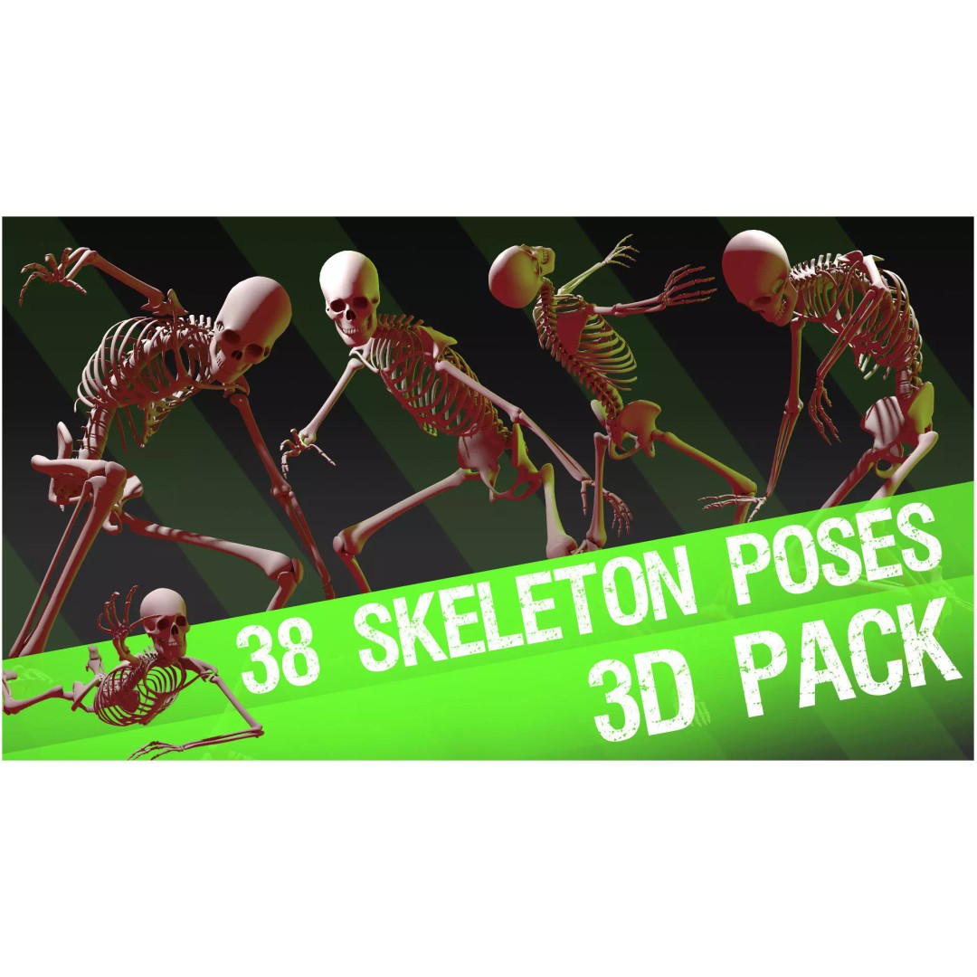 Skeleton 3D Model – Anatomy Pack with 38 Poses, OBJ Format - View 2