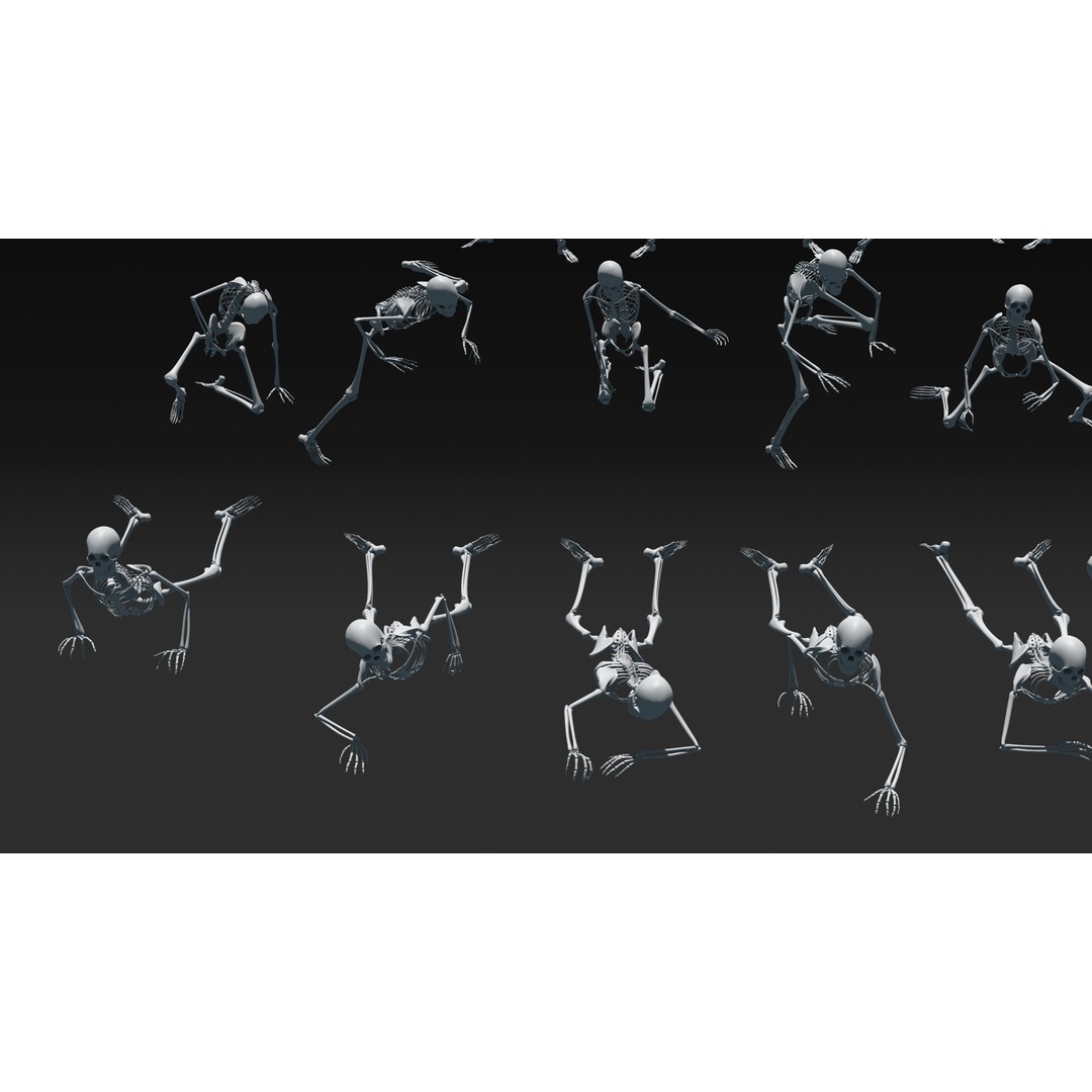 Skeleton 3D Model – Anatomy Pack with 38 Poses, OBJ Format - View 20