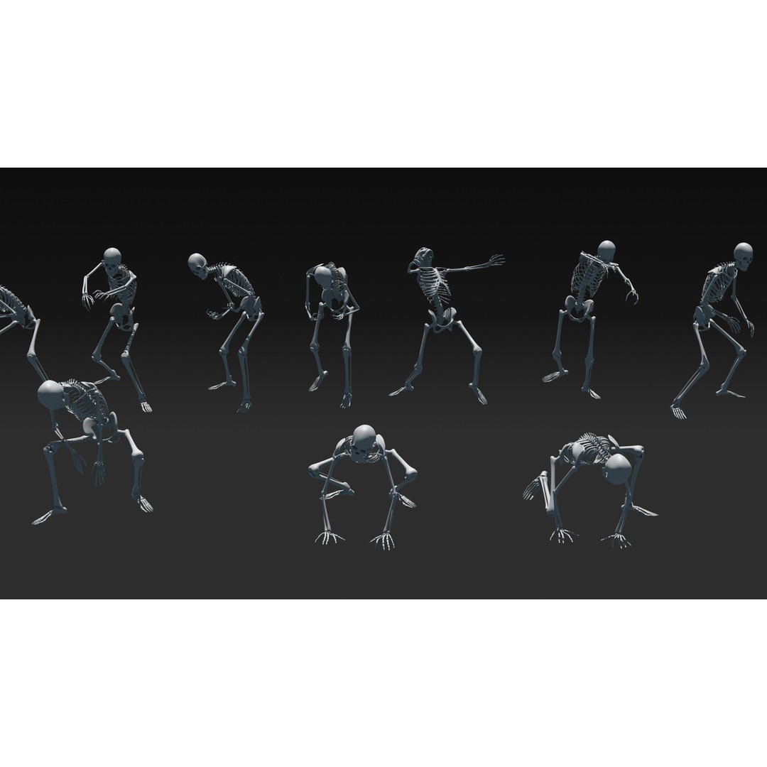Skeleton 3D Model – Anatomy Pack with 38 Poses, OBJ Format - View 22