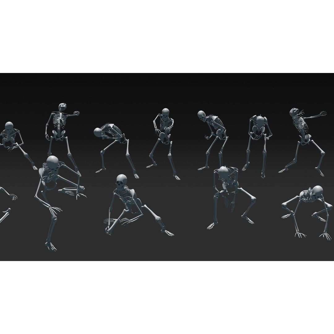 Skeleton 3D Model – Anatomy Pack with 38 Poses, OBJ Format - View 23