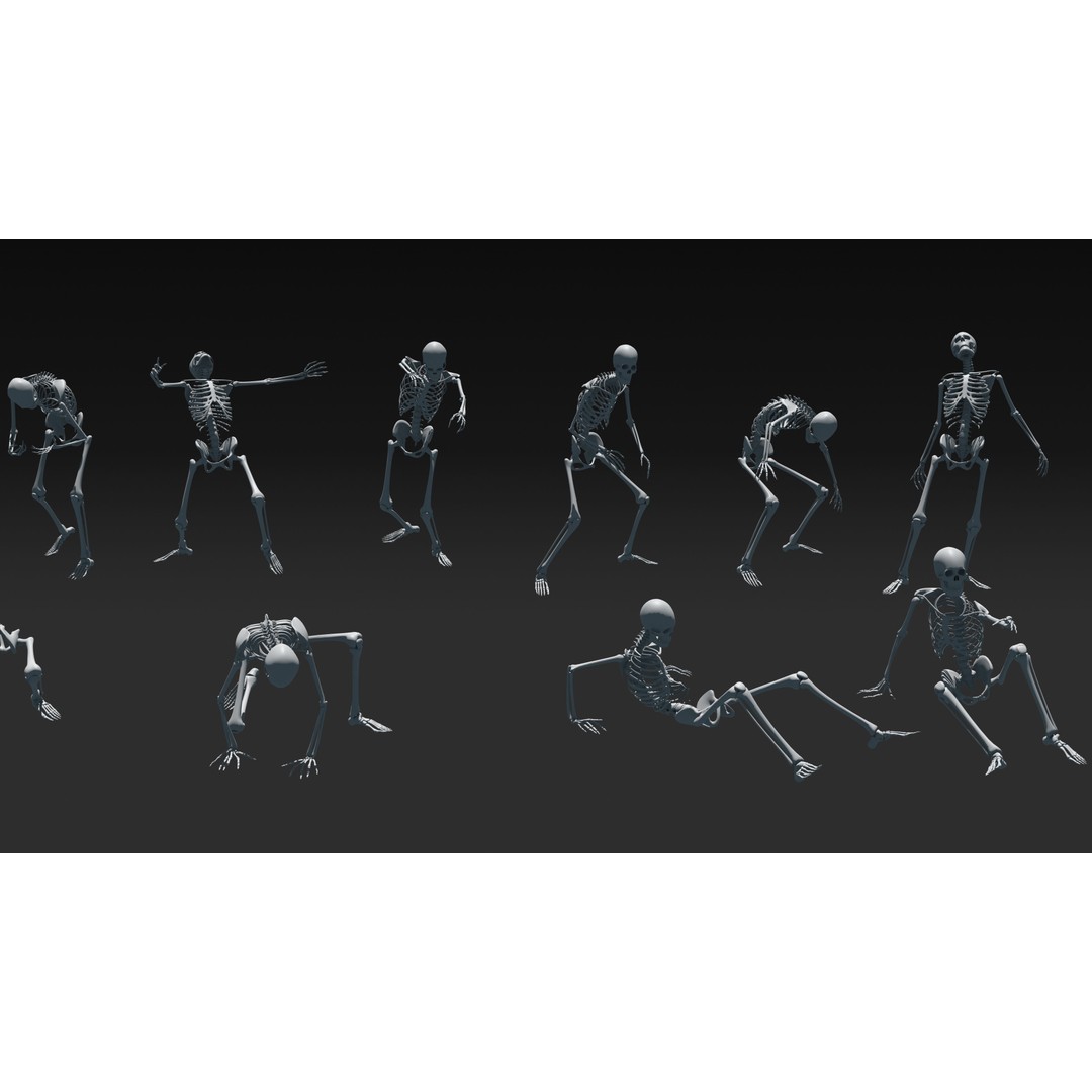 Skeleton 3D Model – Anatomy Pack with 38 Poses, OBJ Format - View 24