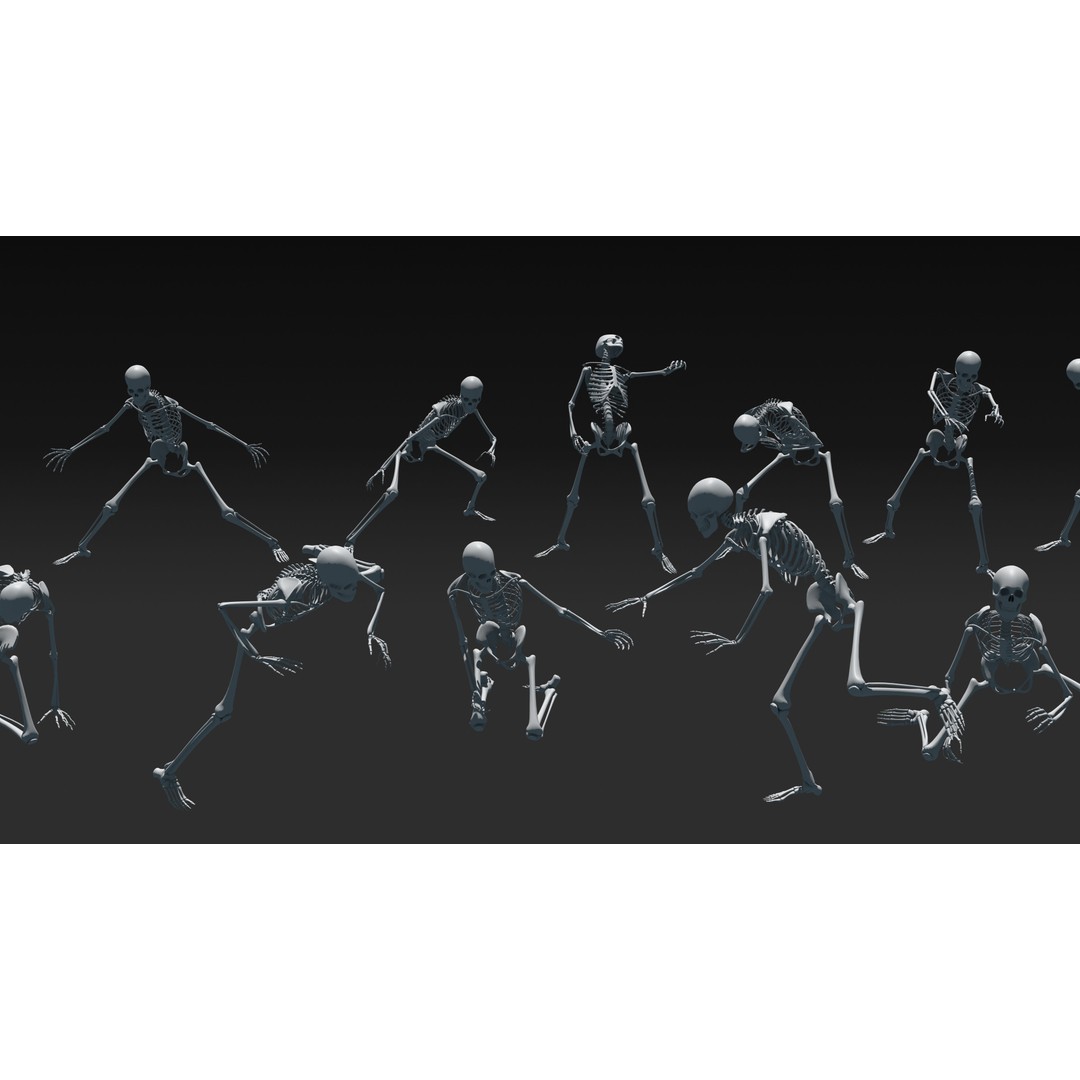 Skeleton 3D Model – Anatomy Pack with 38 Poses, OBJ Format - View 26