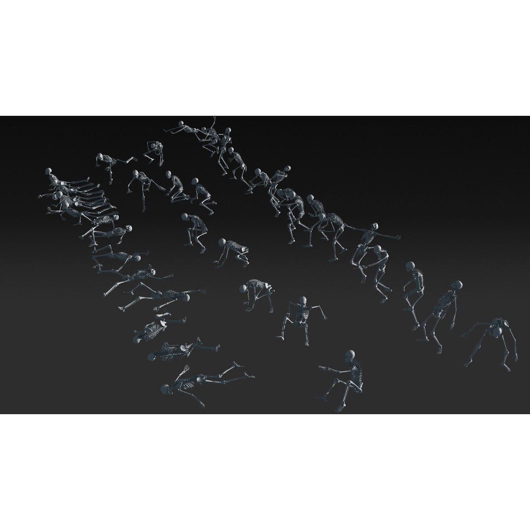 Skeleton 3D Model – Anatomy Pack with 38 Poses, OBJ Format - View 4