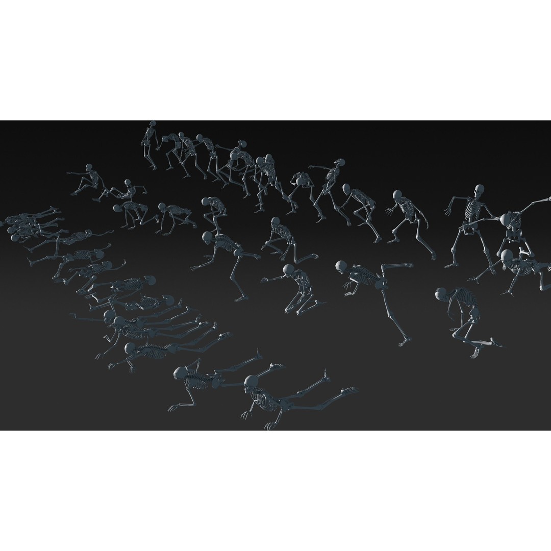 Skeleton 3D Model – Anatomy Pack with 38 Poses, OBJ Format - View 5