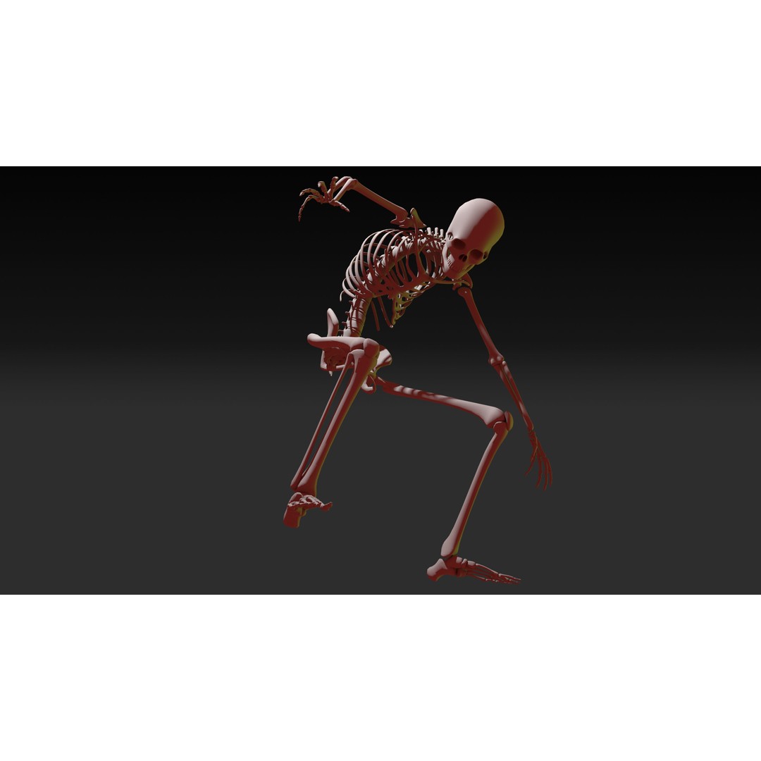 Skeleton 3D Model – Anatomy Pack with 38 Poses, OBJ Format - View 7