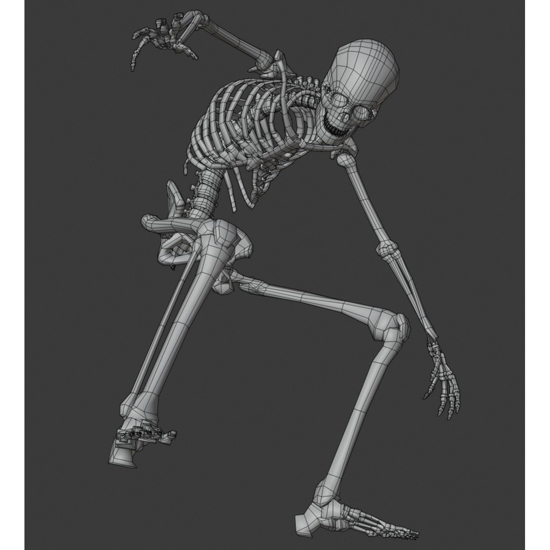 Skeleton 3D Model – Anatomy Pack with 38 Poses, OBJ Format - View 8
