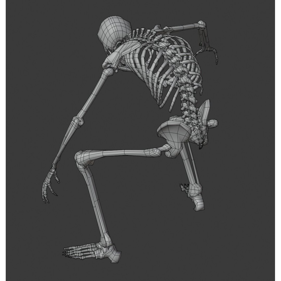 Skeleton 3D Model – Anatomy Pack with 38 Poses, OBJ Format - View 9