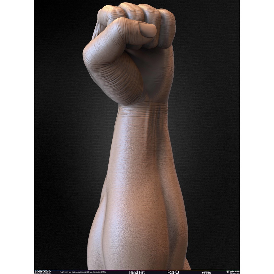 Clenched Fist 3D Model – Low Poly Game-Ready Asset, FBX