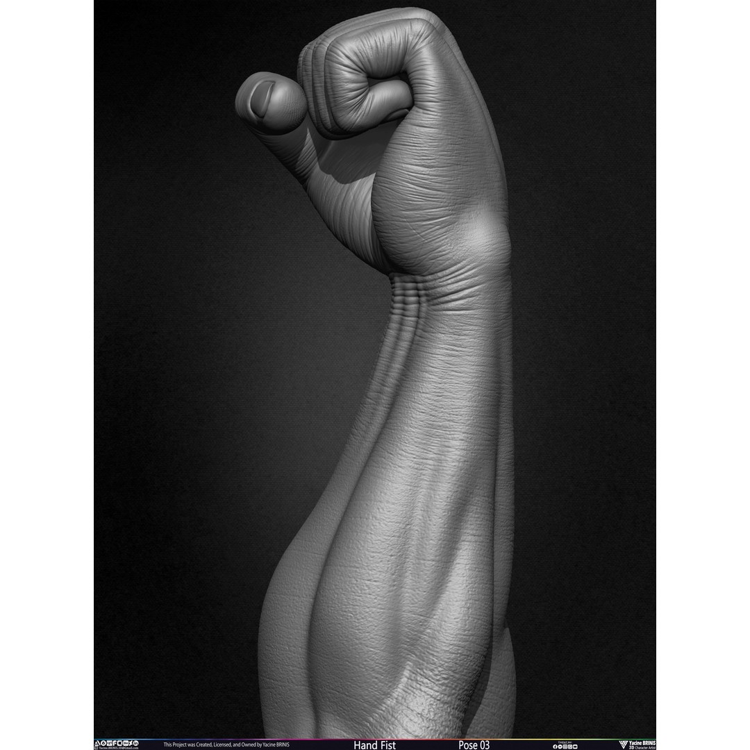 Clenched Fist 3D Model – Low Poly Game-Ready Asset, FBX - View 11