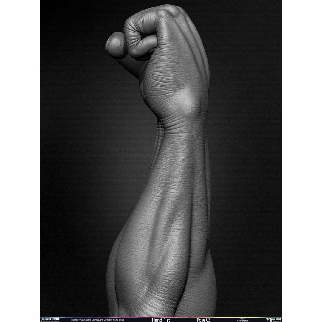Clenched Fist 3D Model – Low Poly Game-Ready Asset, FBX - View 12