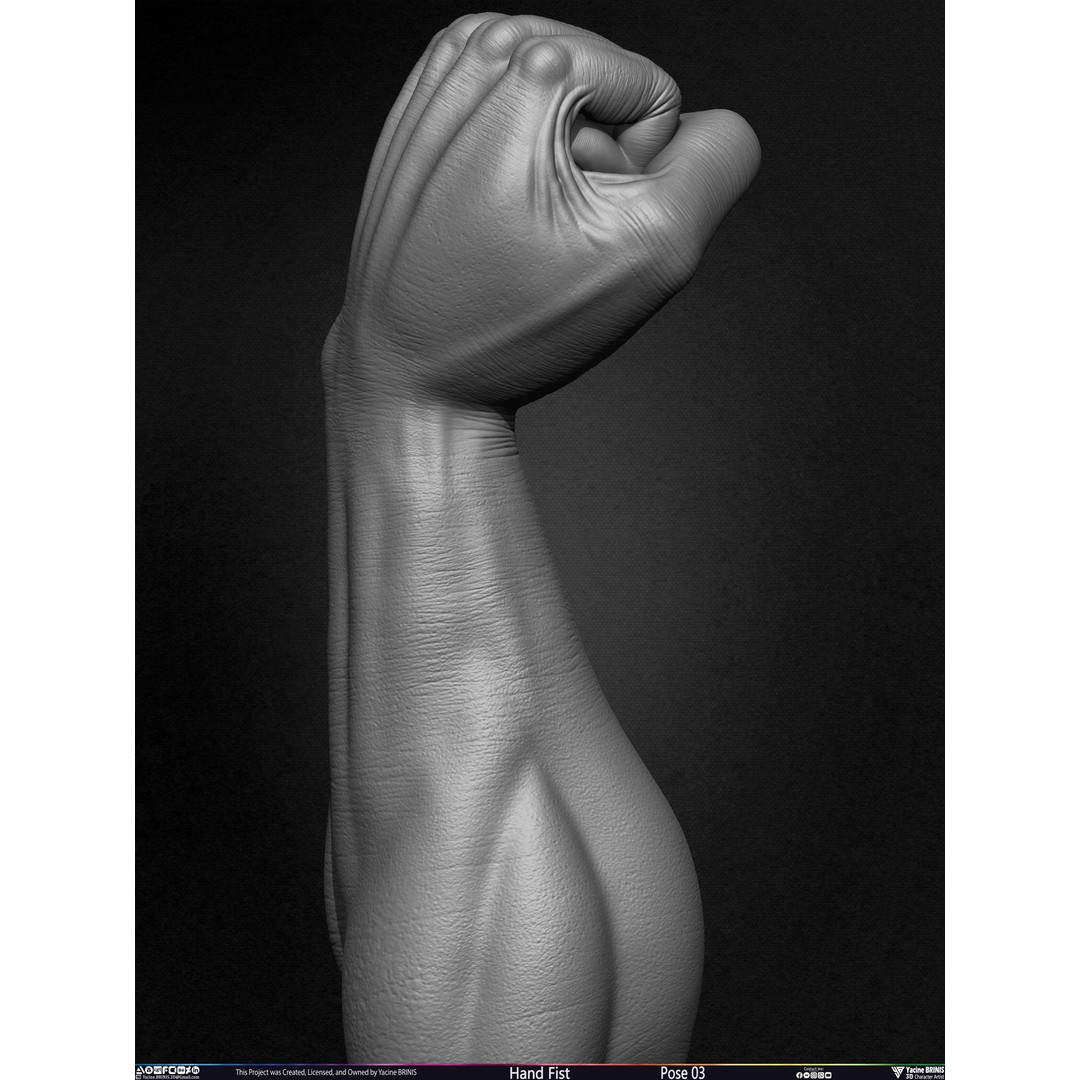 Clenched Fist 3D Model – Low Poly Game-Ready Asset, FBX - View 17
