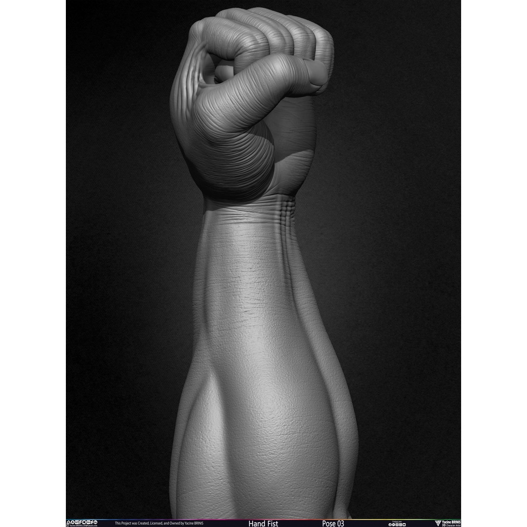 Clenched Fist 3D Model – Low Poly Game-Ready Asset, FBX - View 19