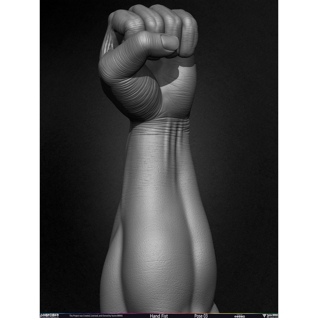 Clenched Fist 3D Model – Low Poly Game-Ready Asset, FBX - View 20