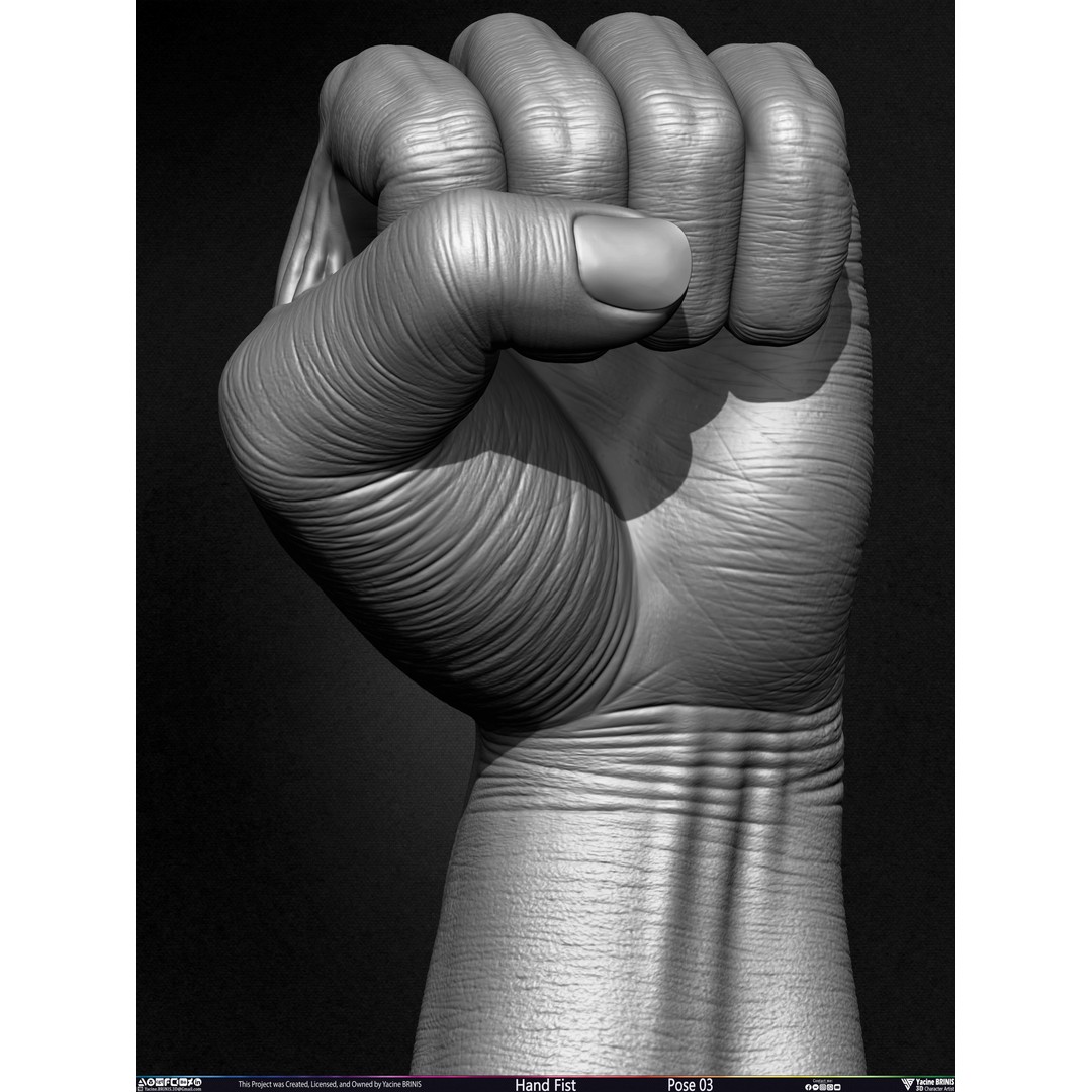 Clenched Fist 3D Model – Low Poly Game-Ready Asset, FBX - View 21