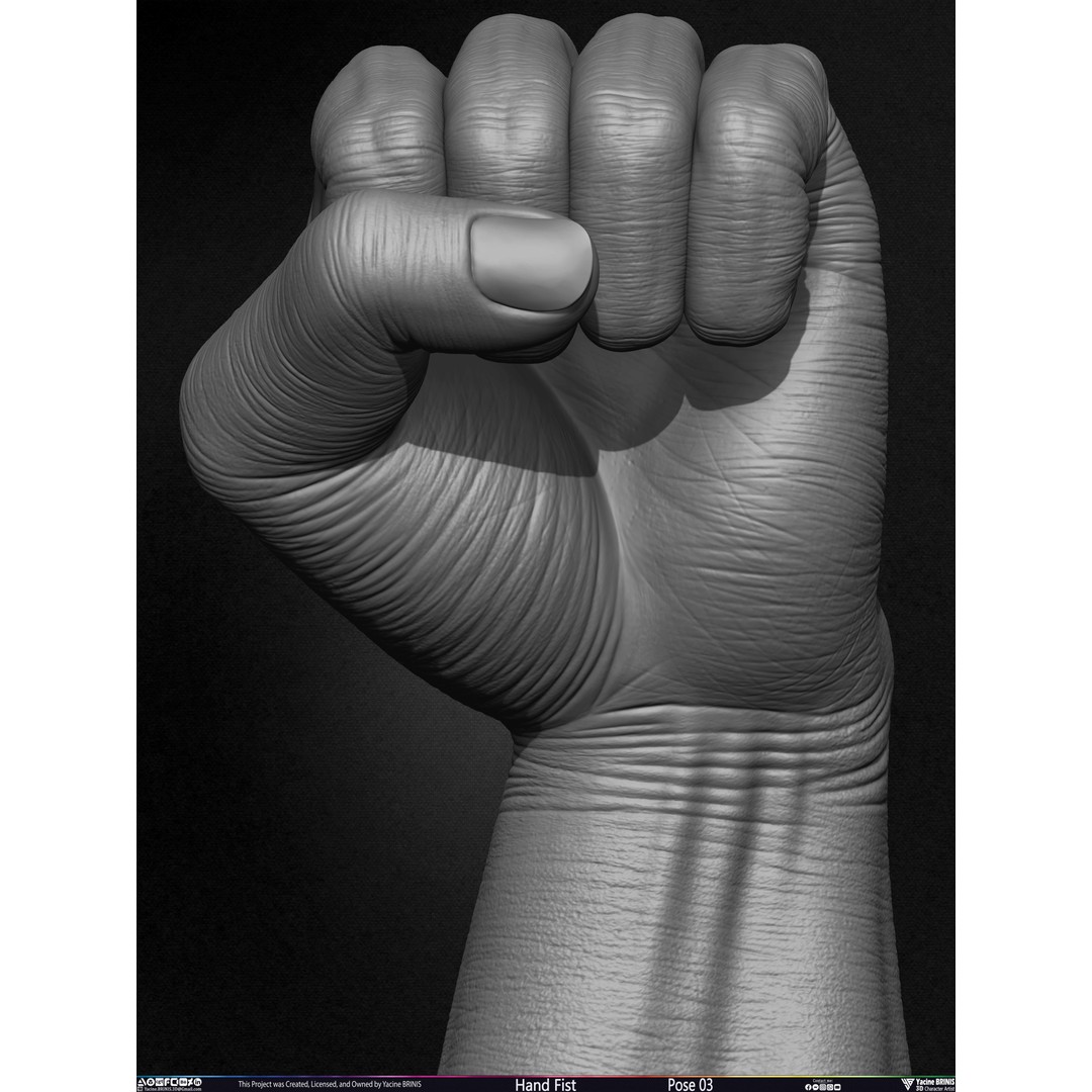 Clenched Fist 3D Model – Low Poly Game-Ready Asset, FBX - View 22
