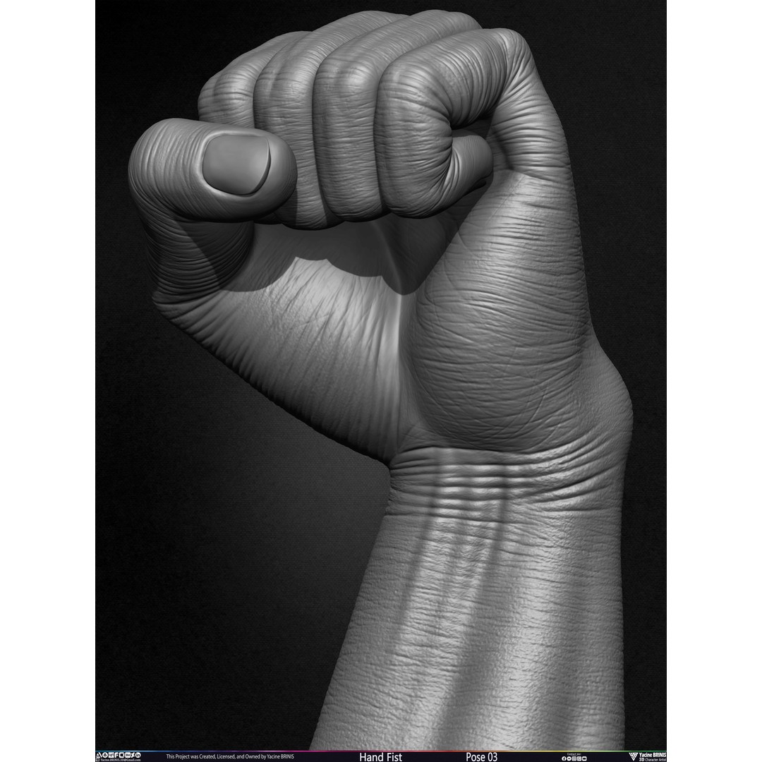 Clenched Fist 3D Model – Low Poly Game-Ready Asset, FBX - View 23