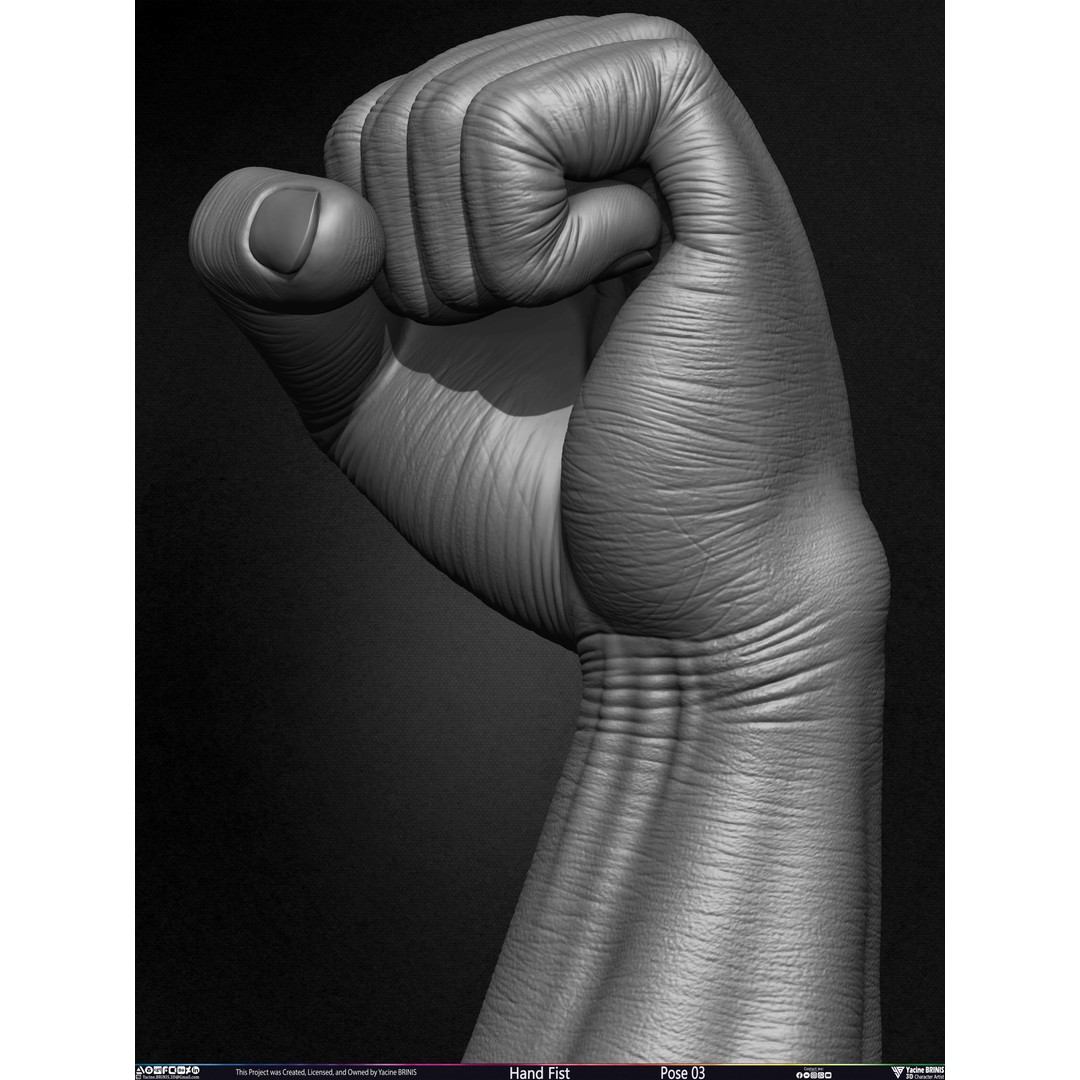 Clenched Fist 3D Model – Low Poly Game-Ready Asset, FBX - View 24