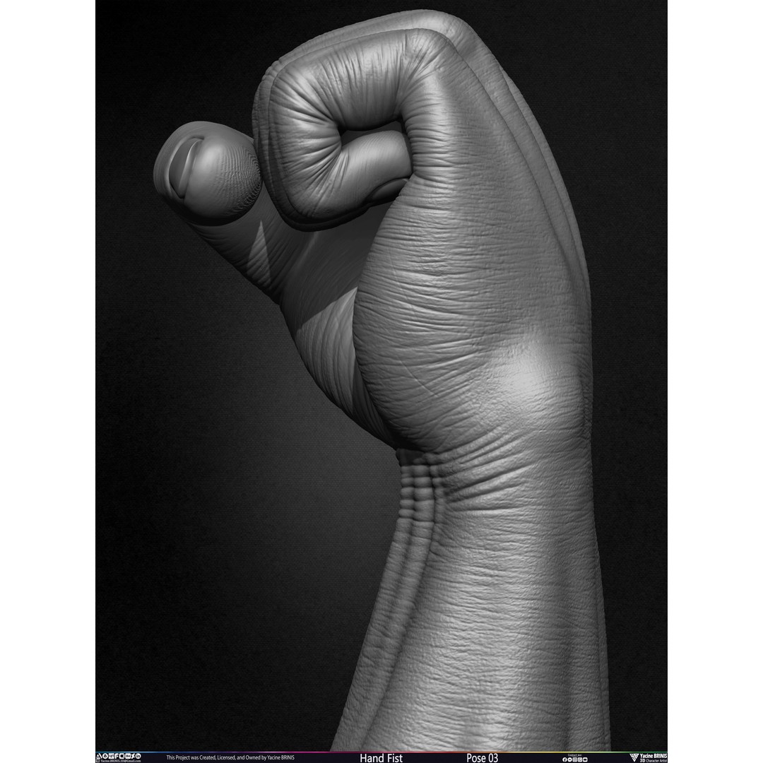 Clenched Fist 3D Model – Low Poly Game-Ready Asset, FBX - View 25