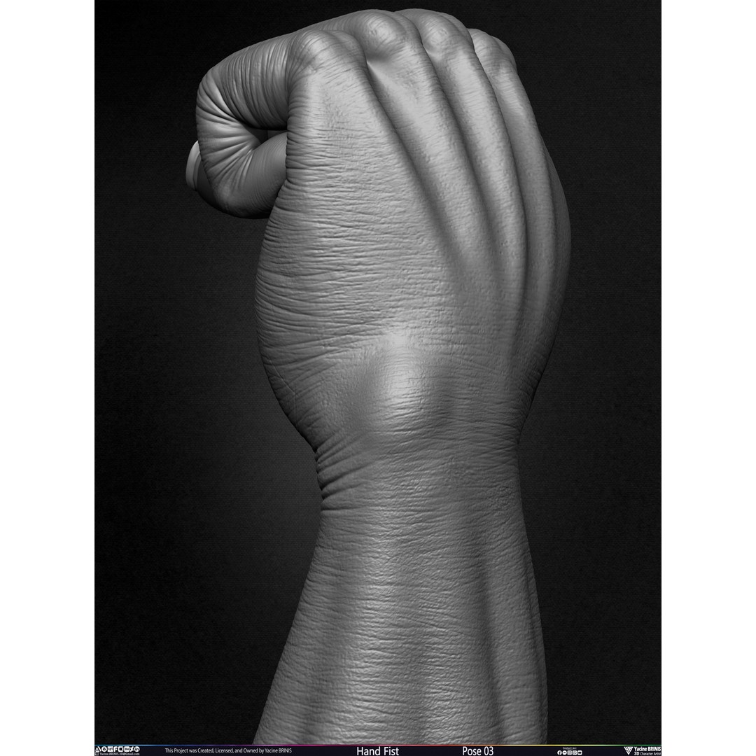 Clenched Fist 3D Model – Low Poly Game-Ready Asset, FBX - View 26