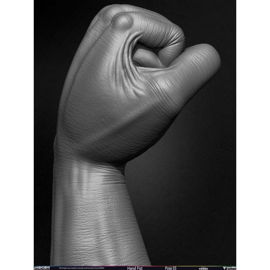 Clenched Fist 3D Model – Low Poly Game-Ready Asset, FBX - View 29