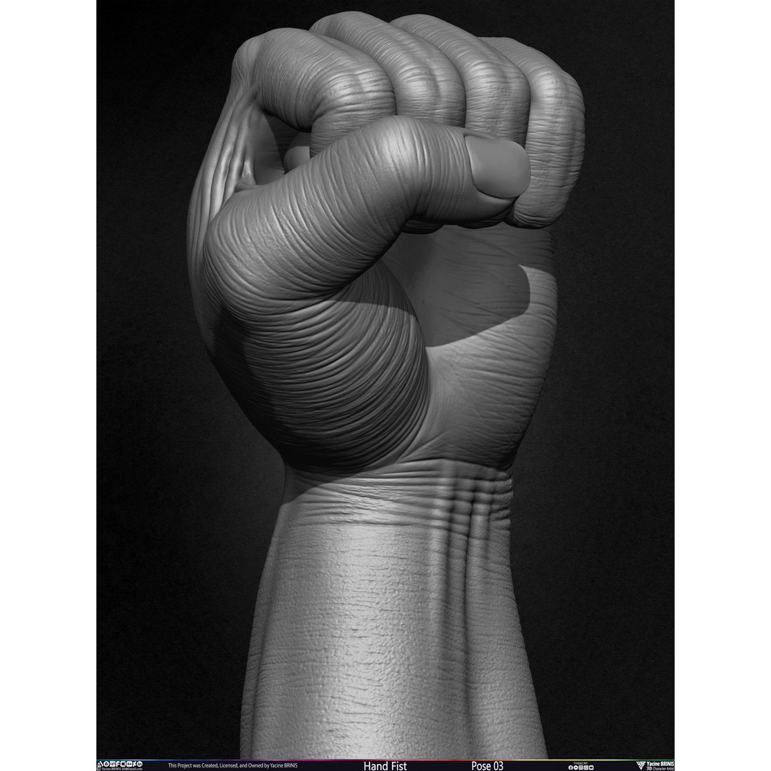 Clenched Fist 3D Model – Low Poly Game-Ready Asset, FBX - View 31