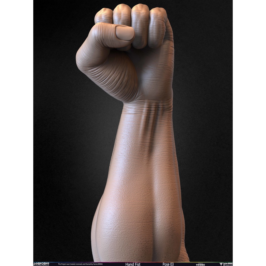 Clenched Fist 3D Model – Low Poly Game-Ready Asset, FBX - View 32