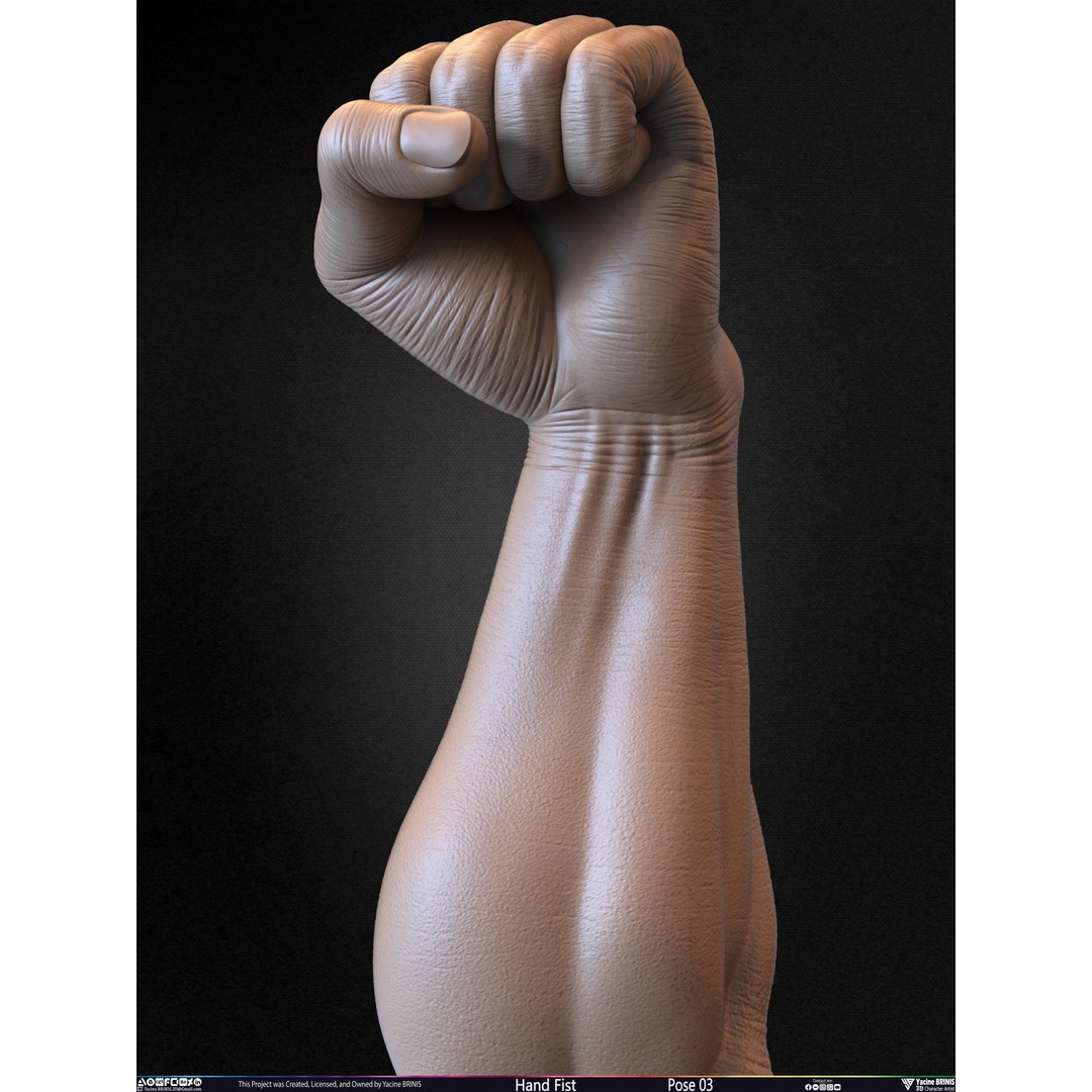 Clenched Fist 3D Model – Low Poly Game-Ready Asset, FBX - View 33
