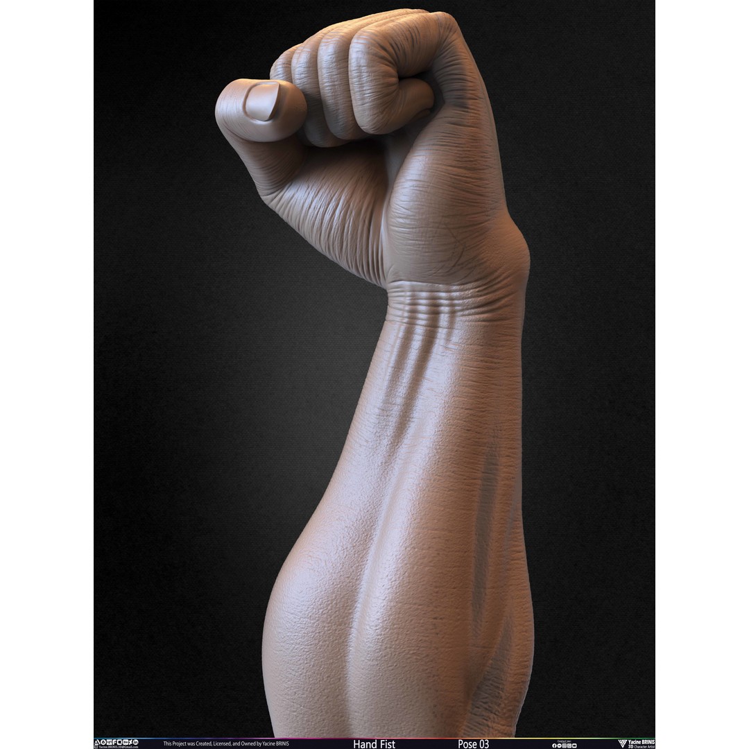 Clenched Fist 3D Model – Low Poly Game-Ready Asset, FBX - View 34