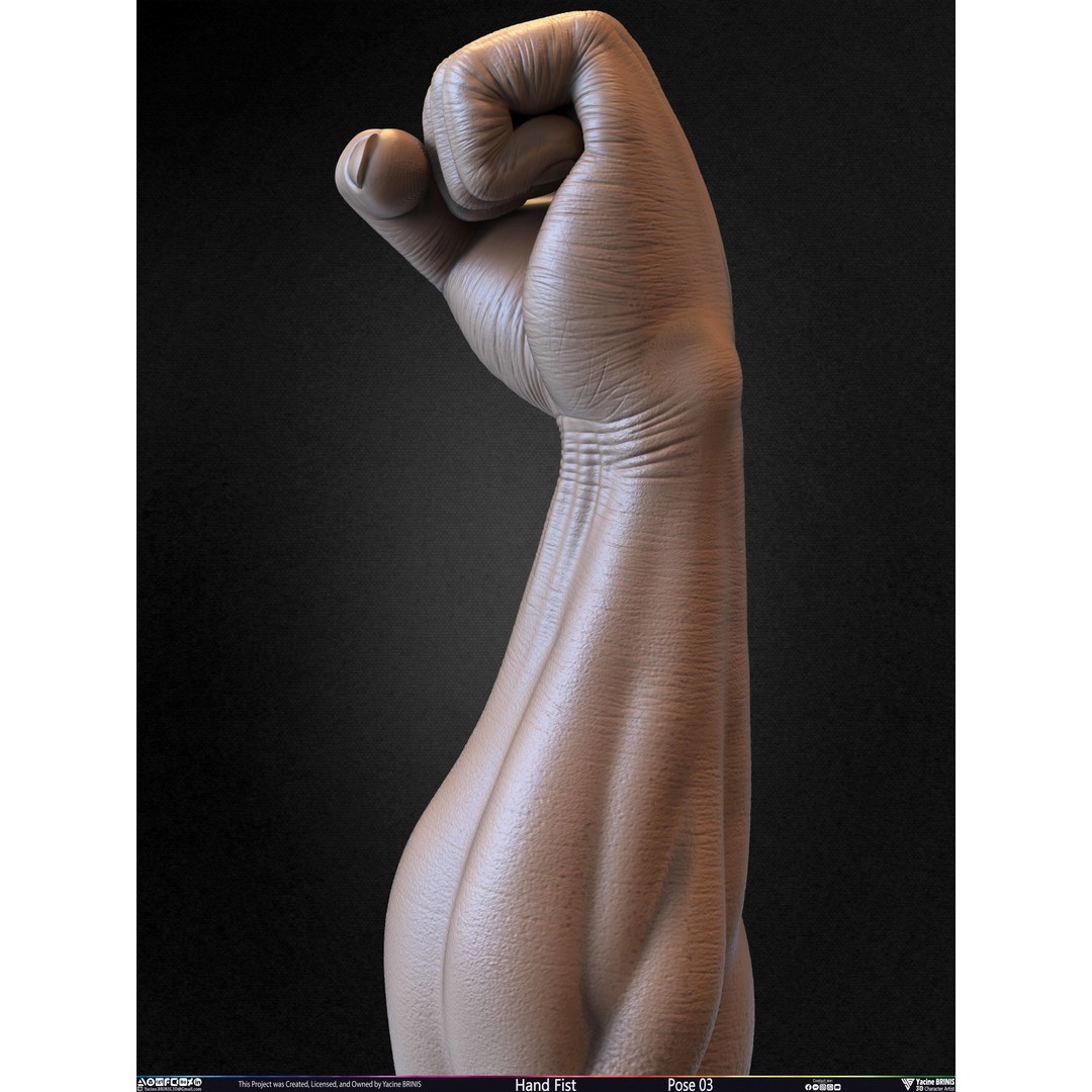 Clenched Fist 3D Model – Low Poly Game-Ready Asset, FBX - View 35