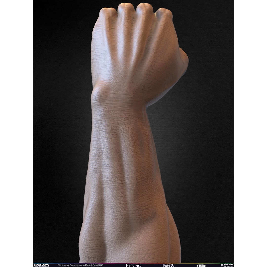 Clenched Fist 3D Model – Low Poly Game-Ready Asset, FBX - View 36